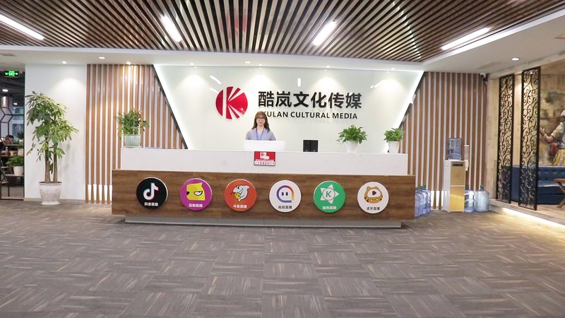 行业背景：影视制作行业的蓬勃发展
